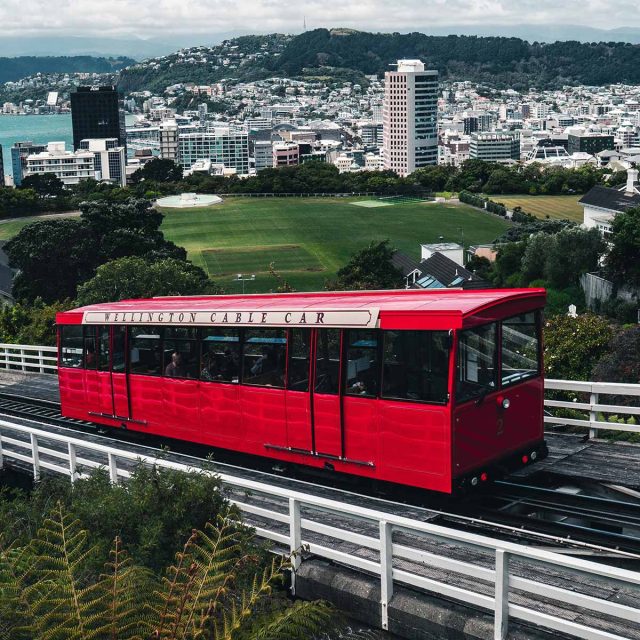 New Zealand Christmas Cruise 