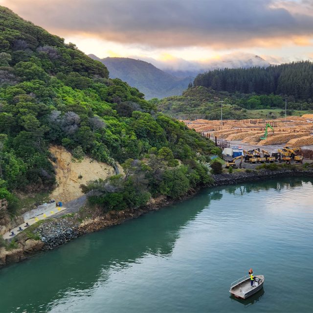 Festive New Zealand 