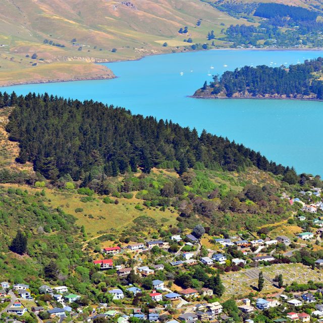 Festive New Zealand 