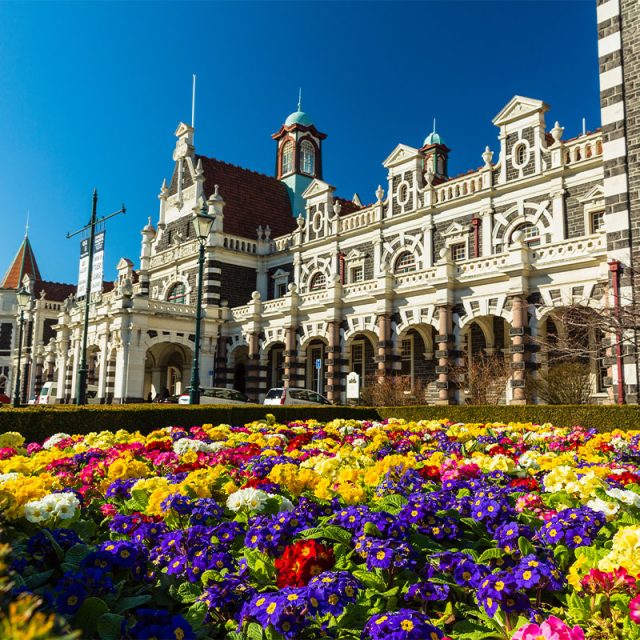 Festive New Zealand 