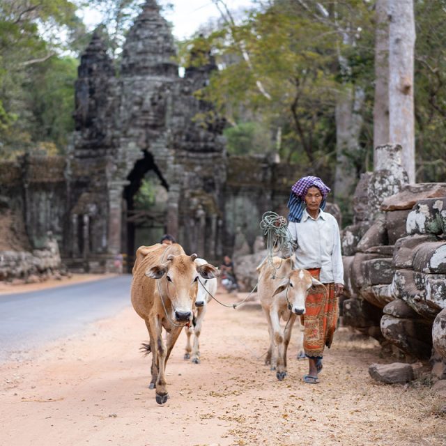 Essential Vietnam & Cambodia 