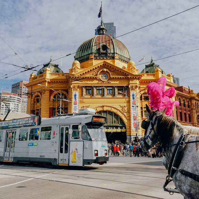 Melbourne Cup Carnival Cruise 