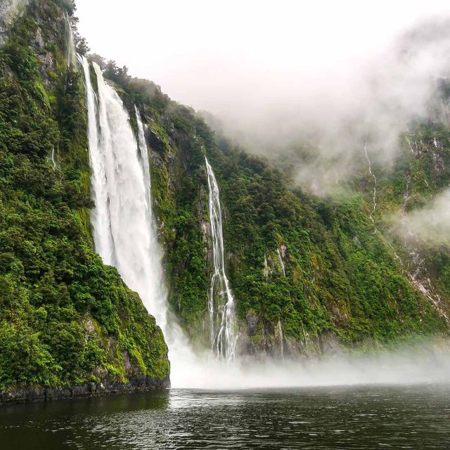 New Zealand Christmas Cruise 