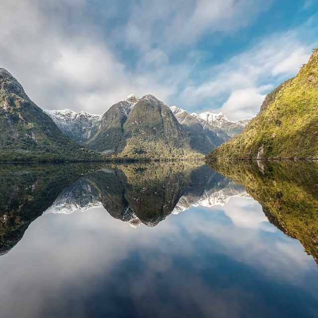 New Zealand Christmas Cruise 