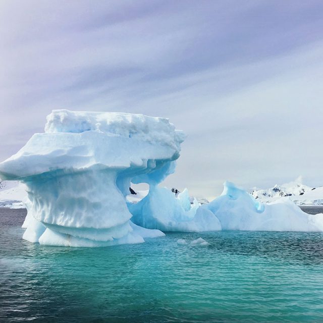 Highlights of Antarctica 