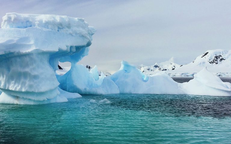 Highlights of Antarctica | Travelfix