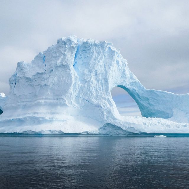 Highlights of Antarctica 