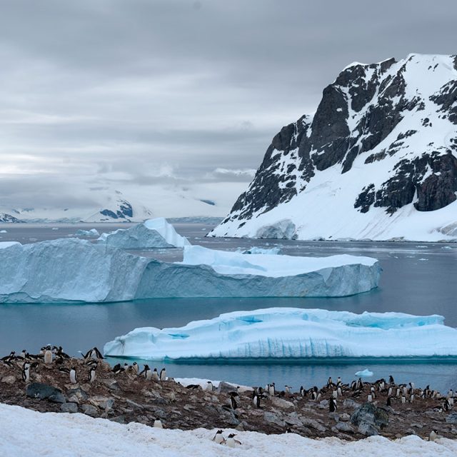 Highlights of Antarctica 