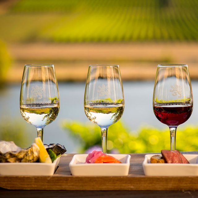 Sail to the Vineyards 