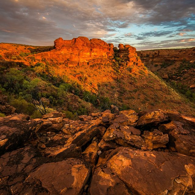 Red Centre Spectacular 