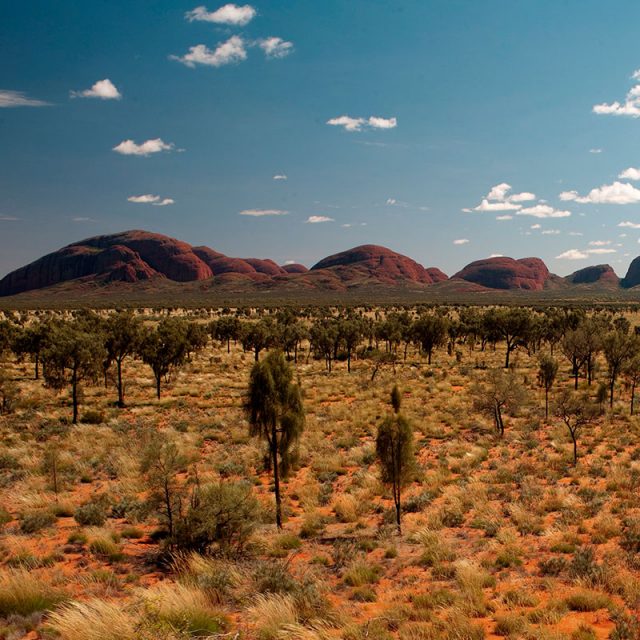 Gems of the Red Centre 
