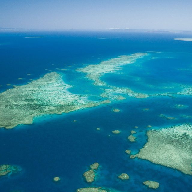 Fun on the Great Barrier Reef 