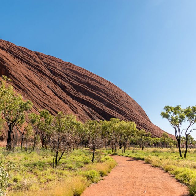 Red Centre Spectacular 