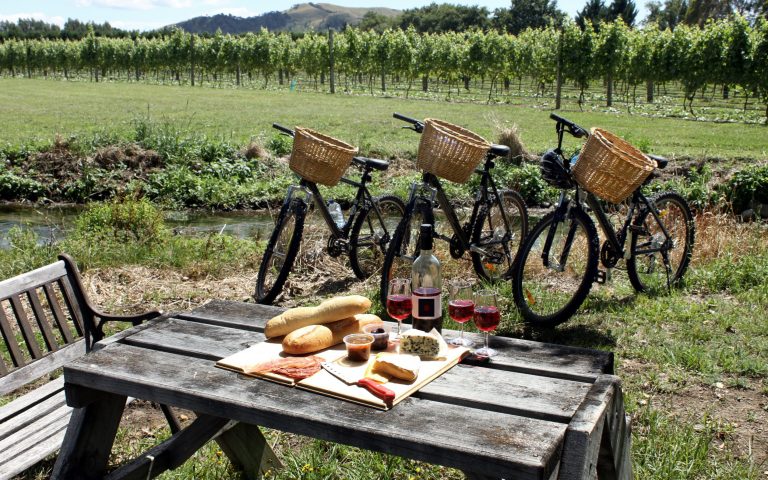 Bicycle at Winery