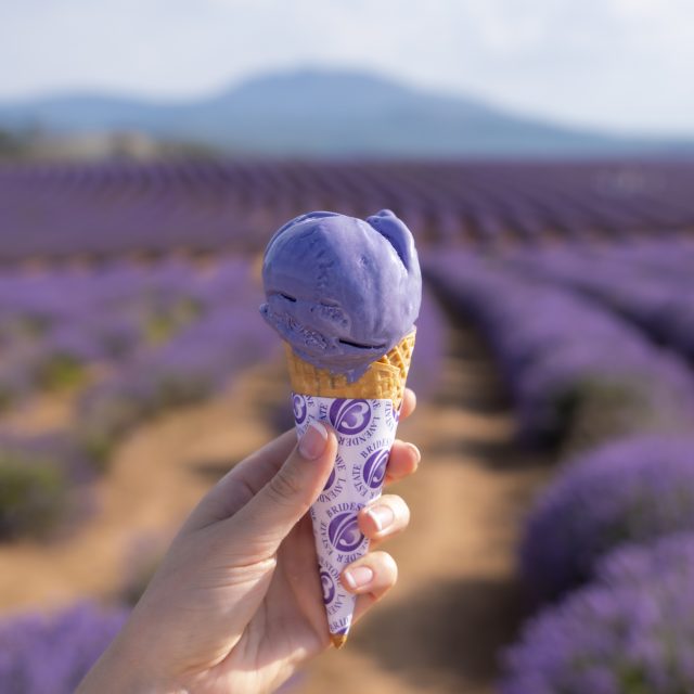 Tassie Quick Bite Bridestowe Lavender Estate, at Nabowla, Tasmania is considered one of the State's most spectacular vistas during flowering in December and January.