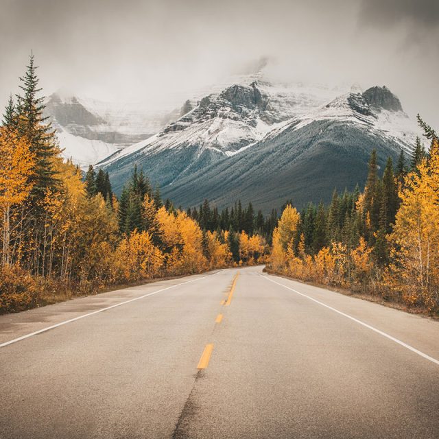 Canadian Rockies Express 