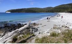Coastal Treks Of Tasmania 