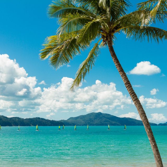 Hamilton Island Escape 