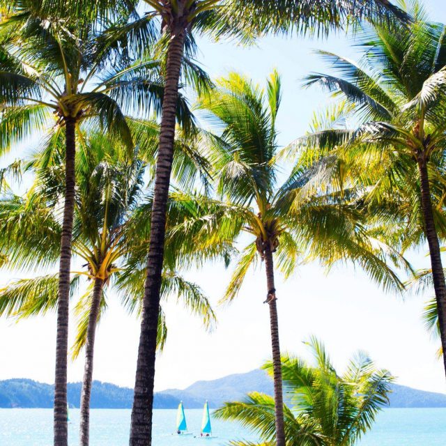 Hamilton Island Escape 