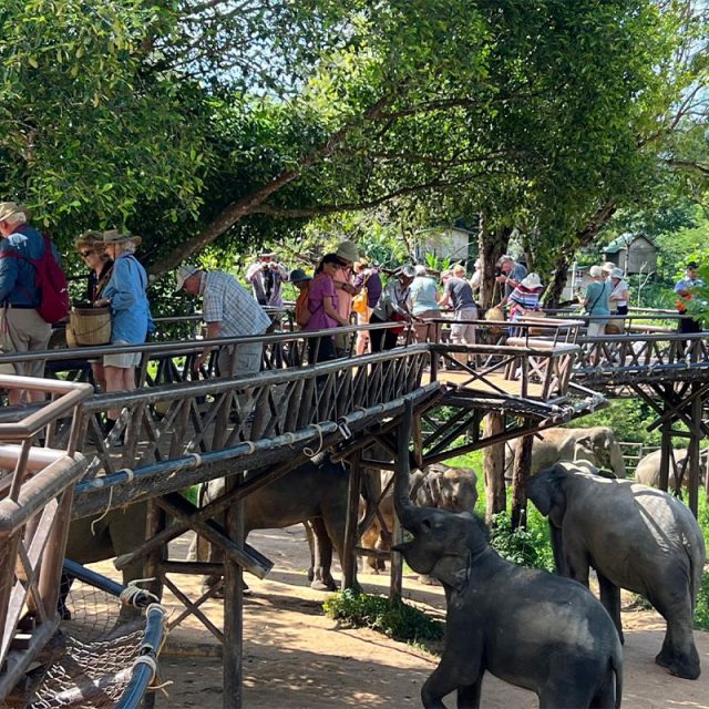 Jungle, Beach & Golf in Thailand 