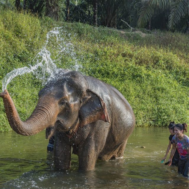 Jungle, Beach & Golf in Thailand 