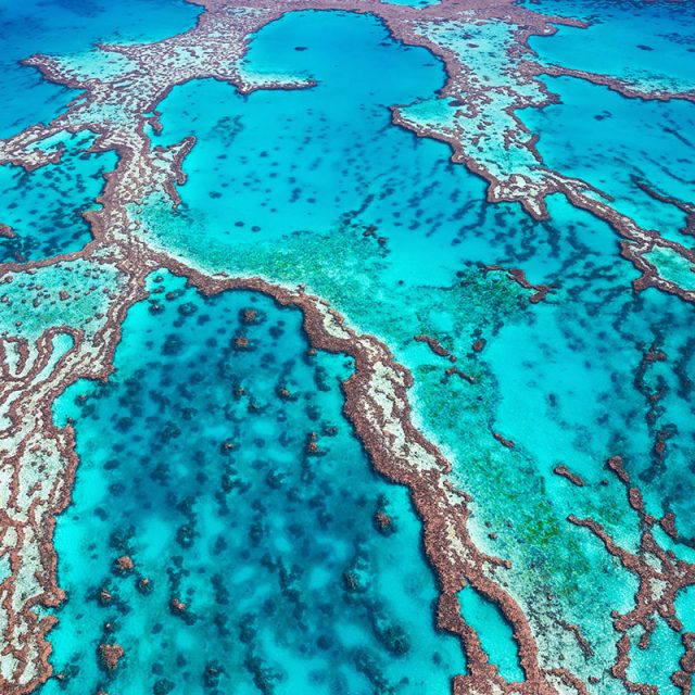 Fun on the Great Barrier Reef 