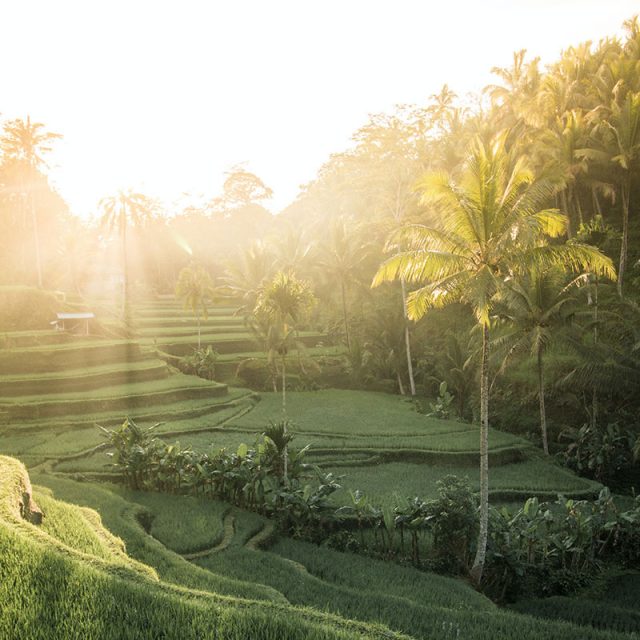 Highlights of Bali & Java 