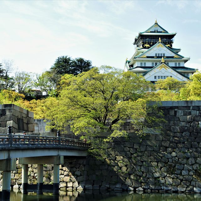 Japan: Osaka, Busan, Beppu & Shimizu 