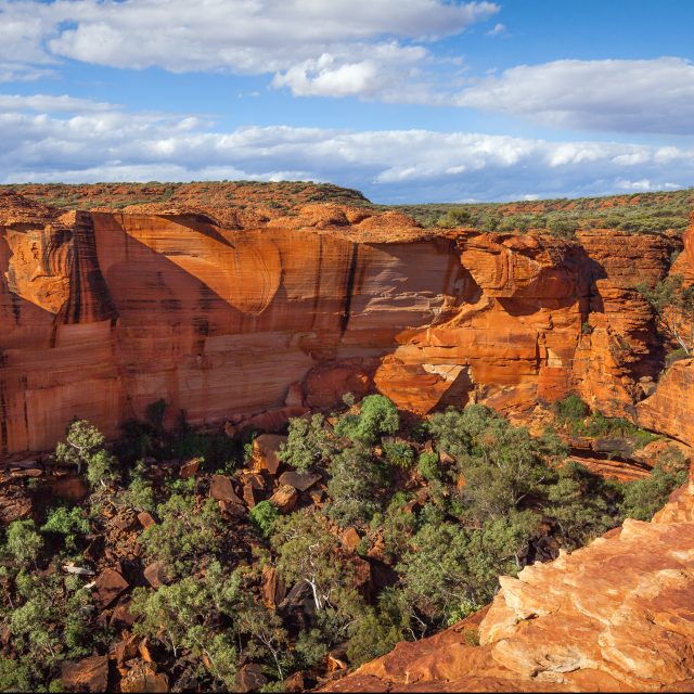Gems of the Red Centre Panoramic view of Kings Canyon,  Central Australia, Northern Territory, Australia