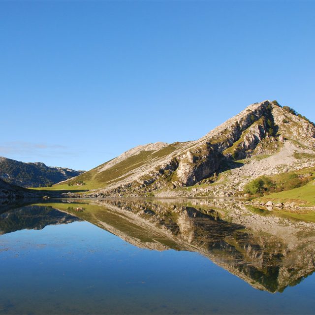 A Taste of the Camino 