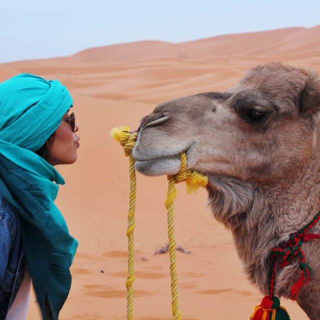 Colours of Morocco 