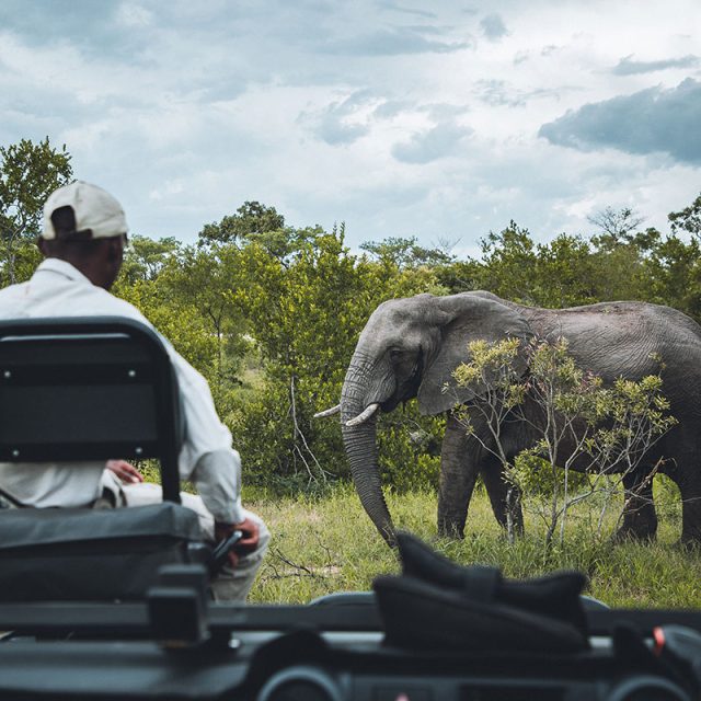 Family Journey: In Search of the Big 5 