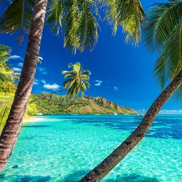 Explore Hawaii, Tahiti & South Pacific 