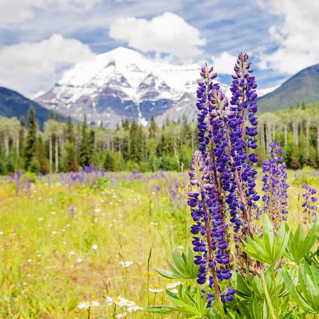 Iconic Rockies & Western Canada 