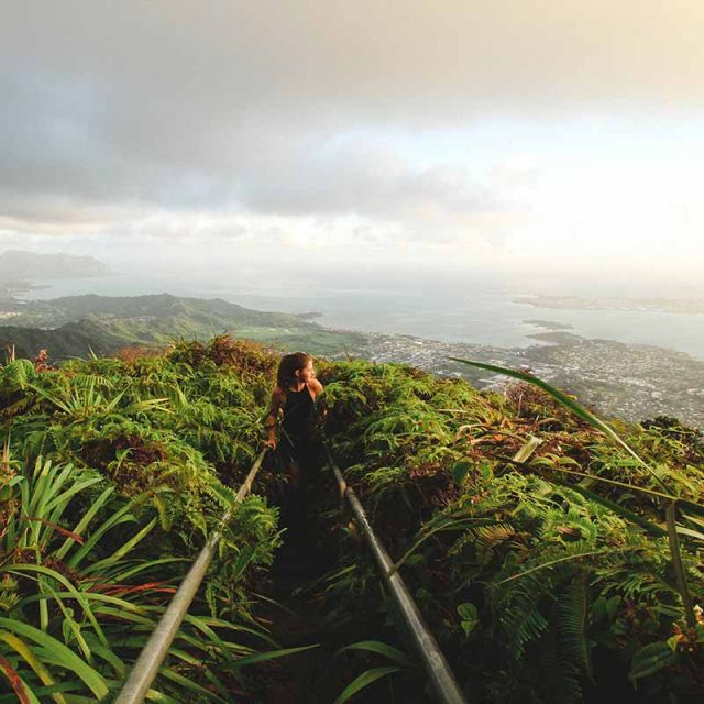 Aloha Hawaii 