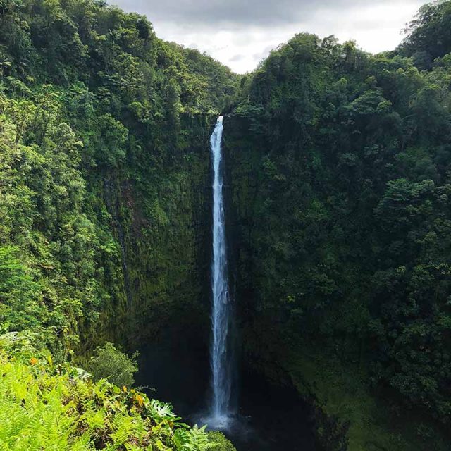 Aloha Hawaii 