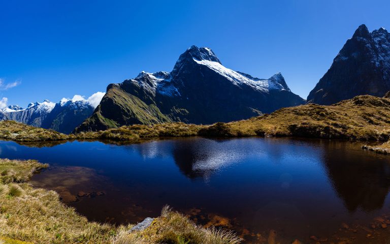 Festive New Zealand