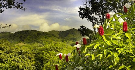 Costa Rica: A World of Nature 