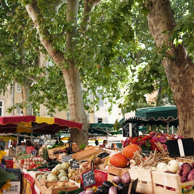 Burgundy & Provence Culinary Delights 