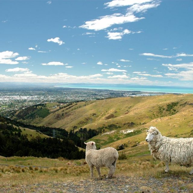 New Zealand – South Island Multisport 