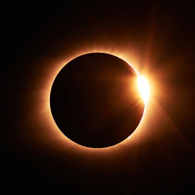 Ningaloo King of Eclipses 