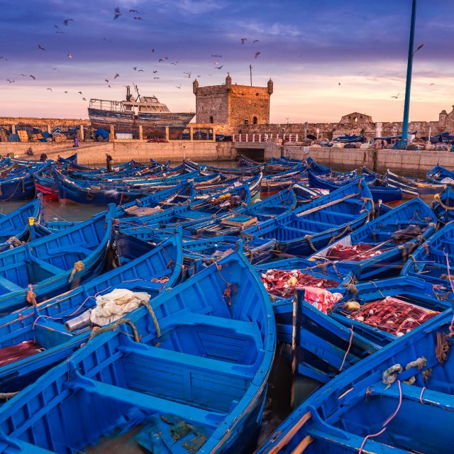 Colours of Morocco 