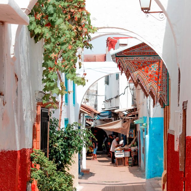 Colours of Morocco 