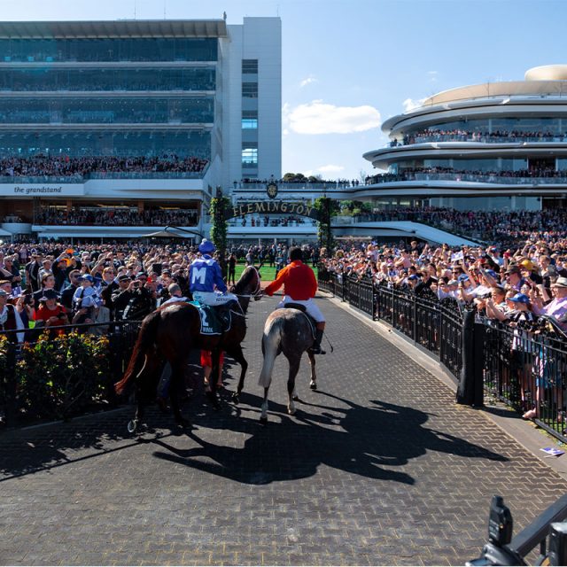 Melbourne Cup Carnival Cruise 